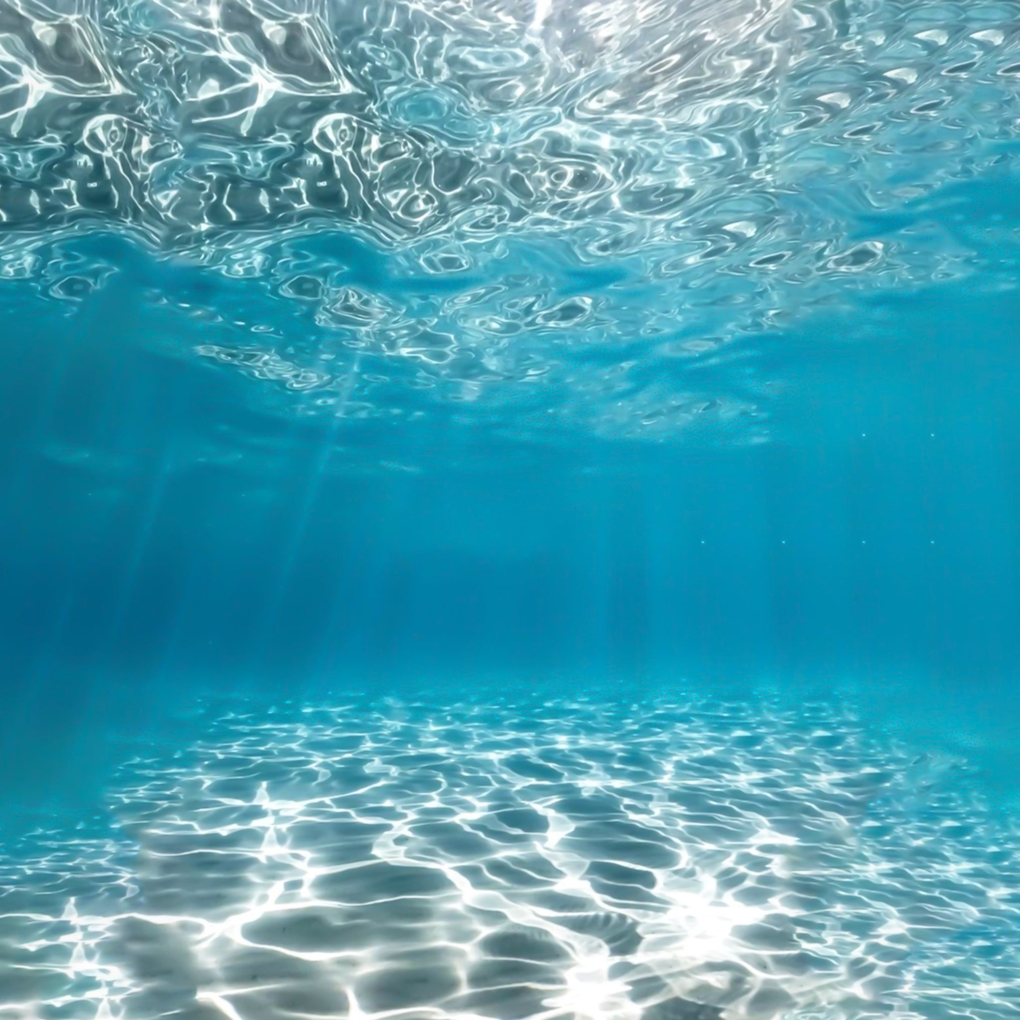 Aquatic | Oud & Bloom