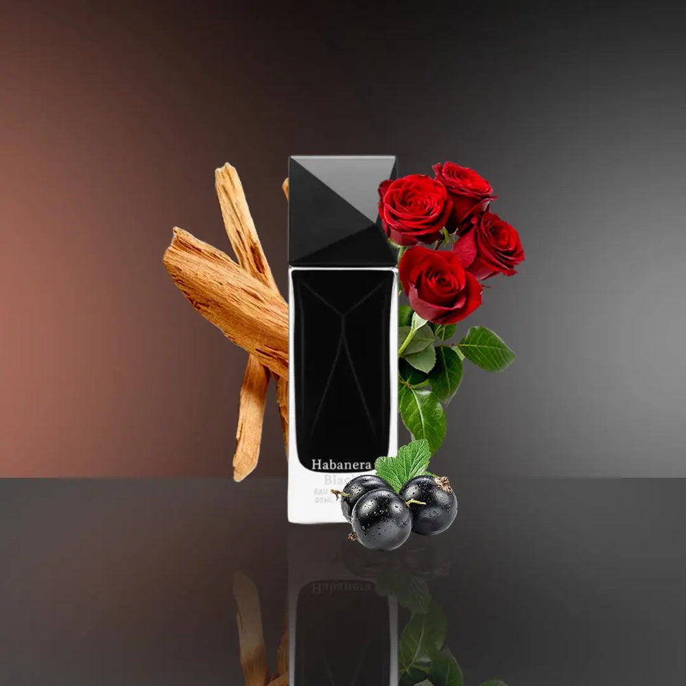 Aurora Habanera Black for Men Eau de perfume Aurora