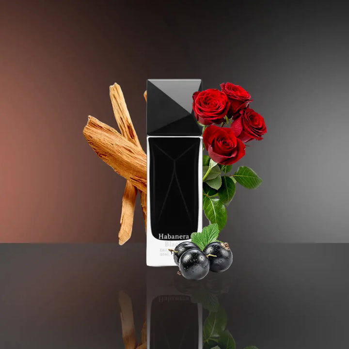 Aurora Habanera Black for Men Eau de perfume Aurora