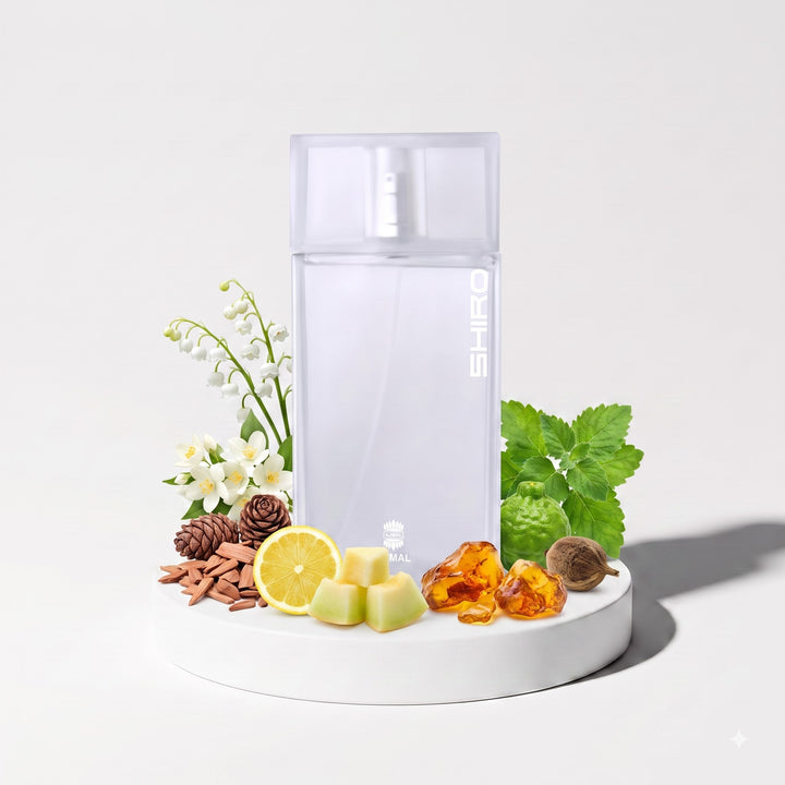 Ajmal Shiro EDP | Oud&Bloom