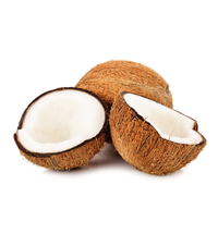 Coconut