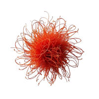 Saffron