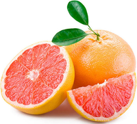 Grapefruit