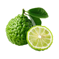 Bergamot