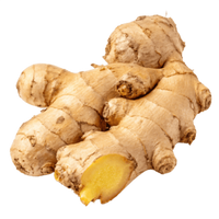 Ginger