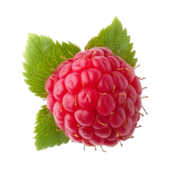Raspberry