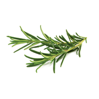 Rosemary