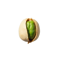 Pistachio