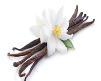 Vanilla